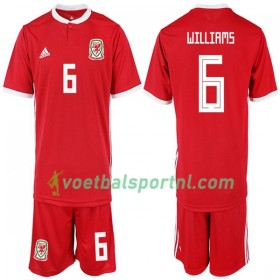Wales WILLIAMS 6 Kind Thuis Tenue 2018-19